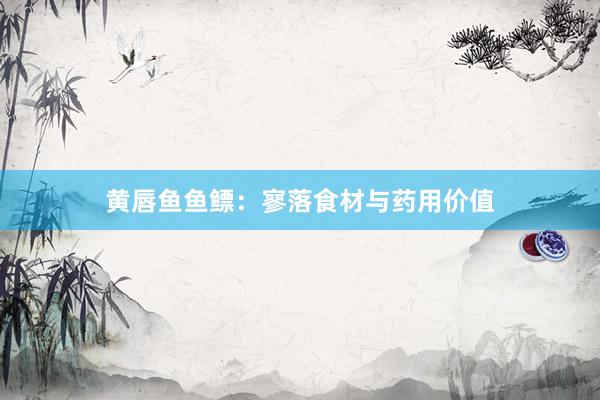 黄唇鱼鱼鳔：寥落食材与药用价值